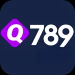 Q789 Game