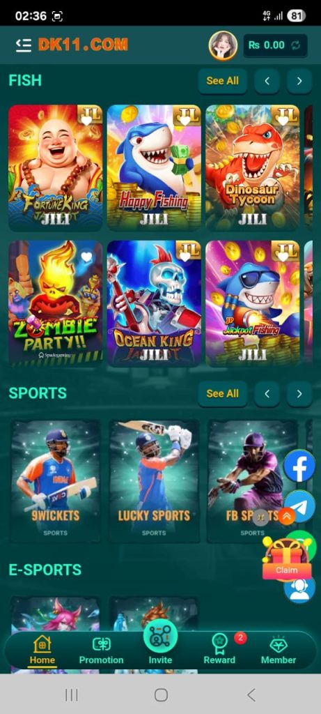 DK11 Game